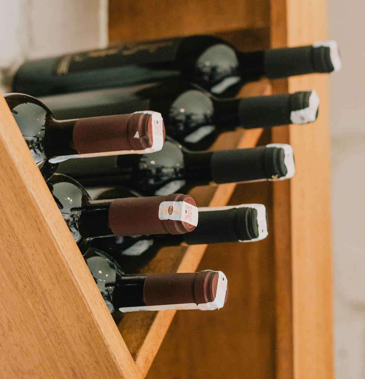 Cavas de vino y Frigobares