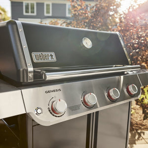 Asador de gas Genesis E-415