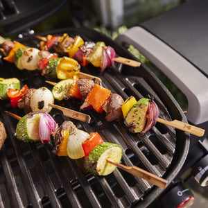 Asador de gas Q 2800N+