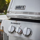 Asador de gas empotrable Summit SB38 S